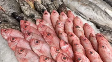 أسعار ديسمبر.. تغيير مفاجئ في أسعار الأسماك بأسواق اليوم السبت 6 ديسمبر 2025